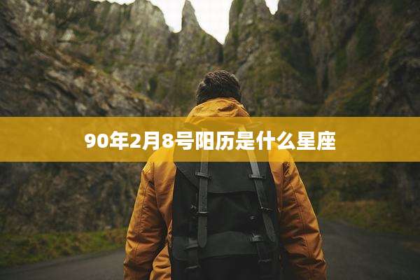 90年2月8号阳历是什么星座