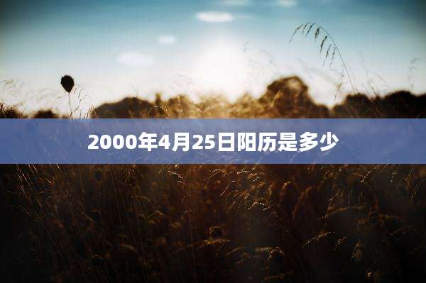 2000年4月25日阳历是多少