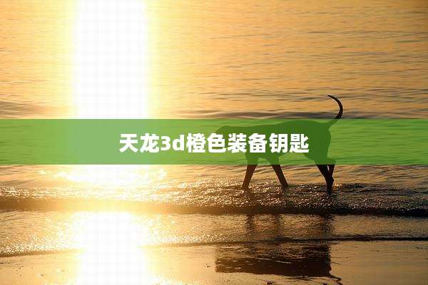 天龙3d橙色装备钥匙