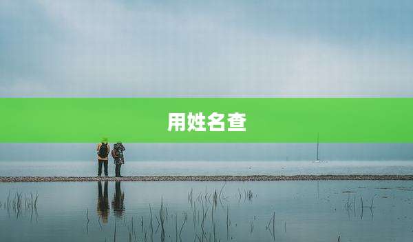 用姓名查