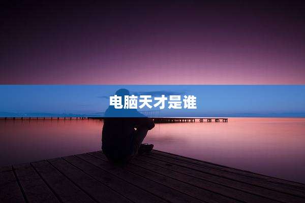 电脑天才是谁