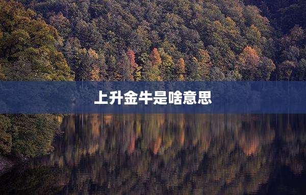 上升金牛是啥意思