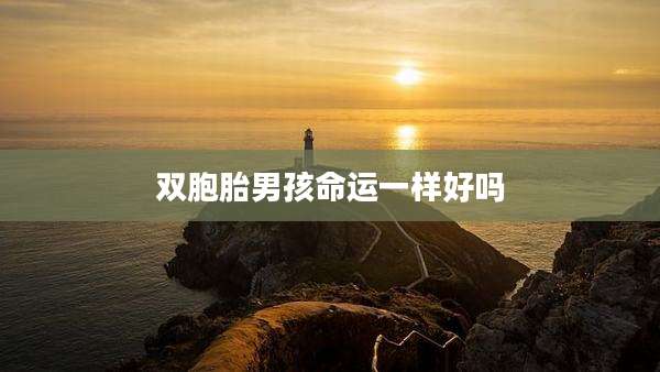 双胞胎男孩命运一样好吗