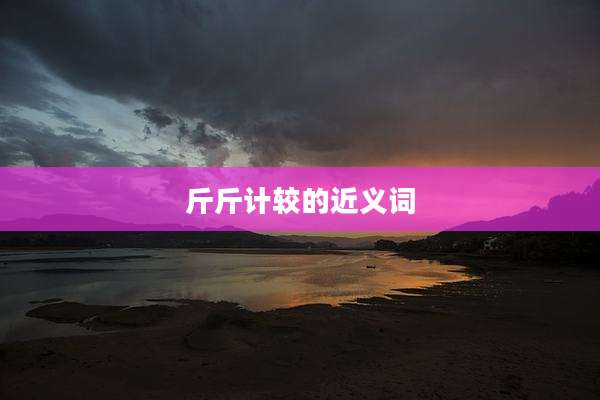 斤斤计较的近义词