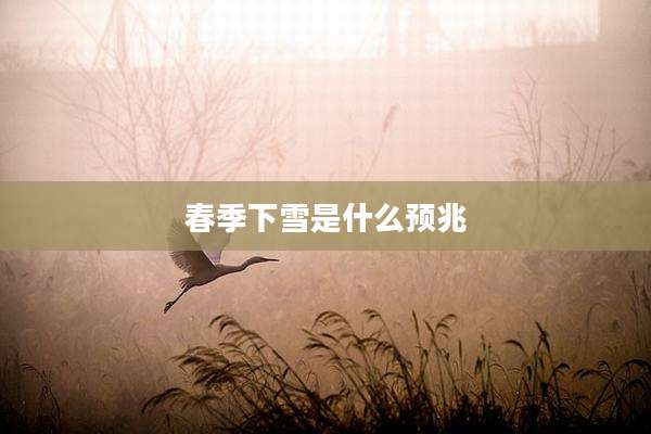 春季下雪是什么预兆