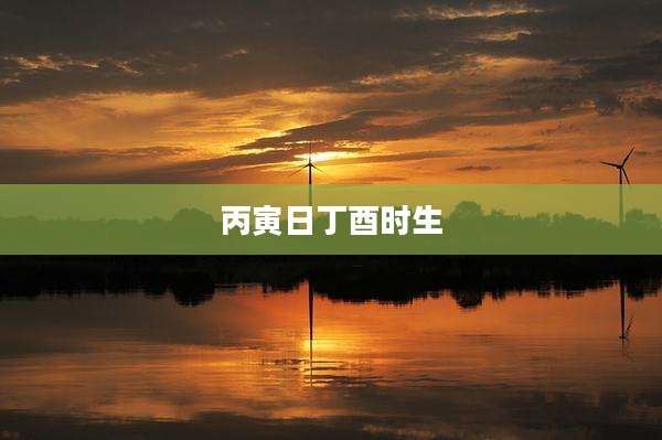 丙寅日丁酉时生
