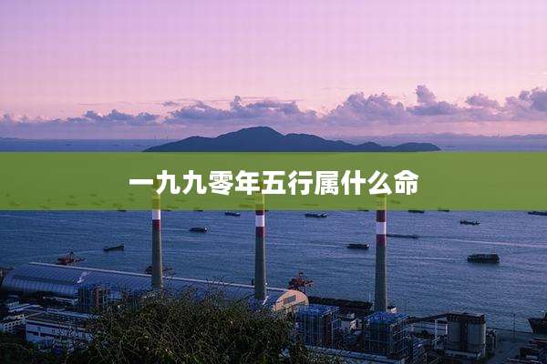一九九零年五行属什么命