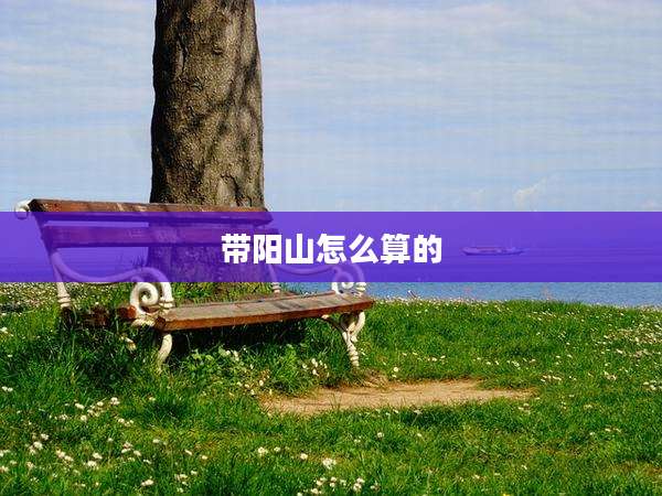 带阳山怎么算的
