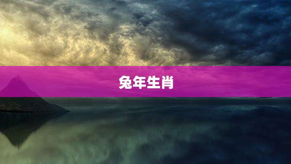 兔年生肖