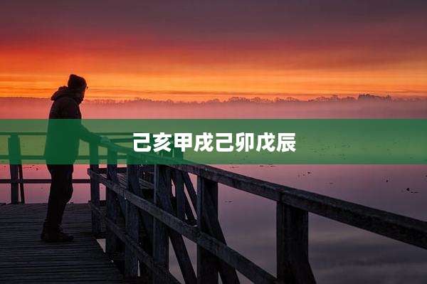 己亥甲戌己卯戊辰