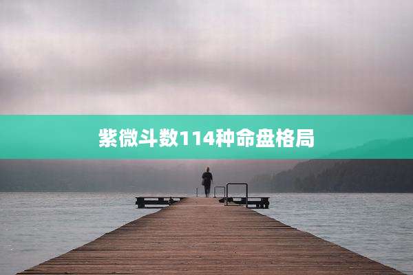紫微斗数114种命盘格局