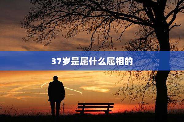 37岁是属什么属相的