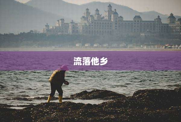 流落他乡