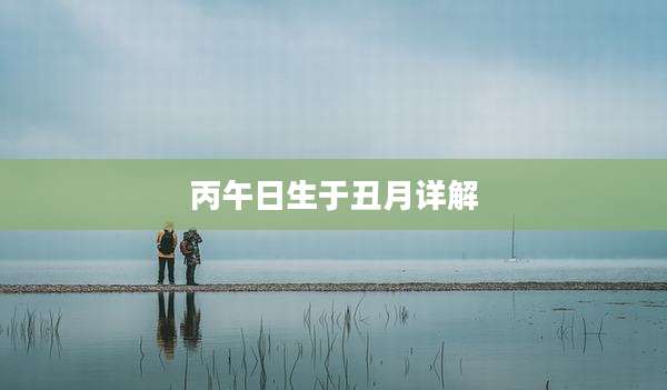 丙午日生于丑月详解