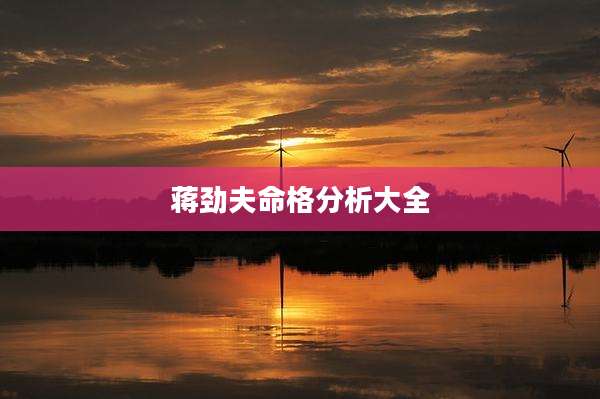 蒋劲夫命格分析大全