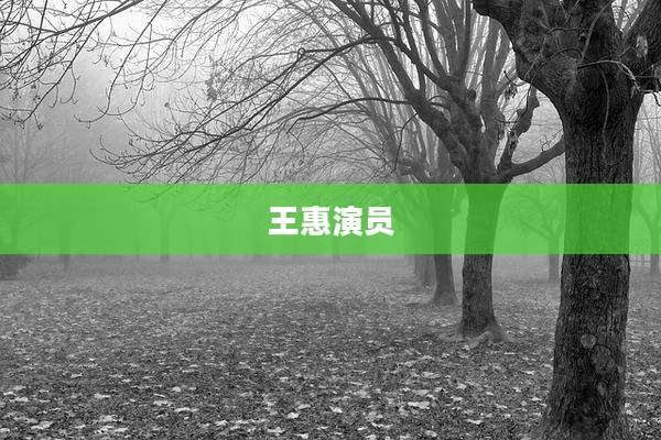 王惠演员