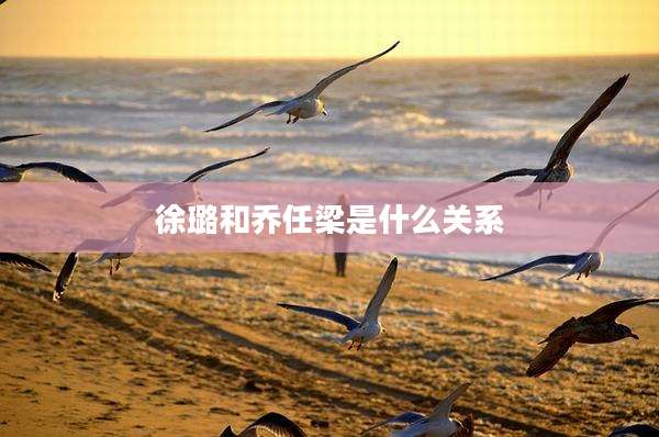 徐璐和乔任梁是什么关系