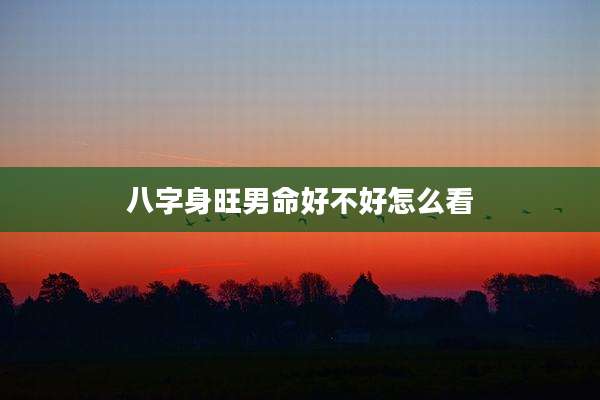 八字身旺男命好不好怎么看