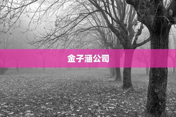 金子涵公司