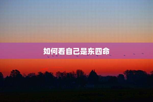 如何看自己是东四命