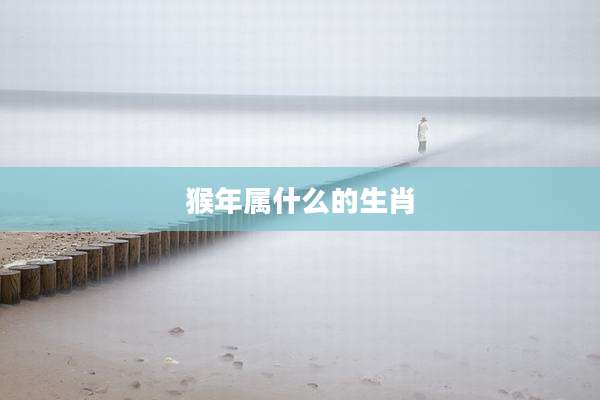 猴年属什么的生肖