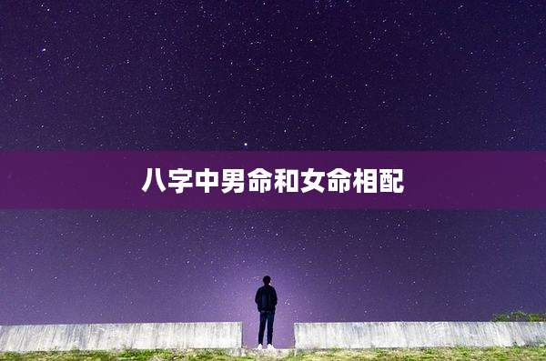八字中男命和女命相配
