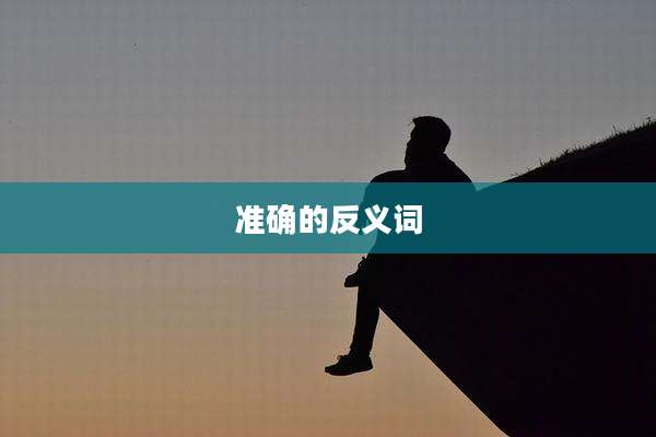 准确的反义词