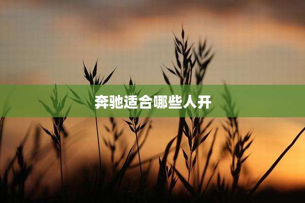 奔驰适合哪些人开