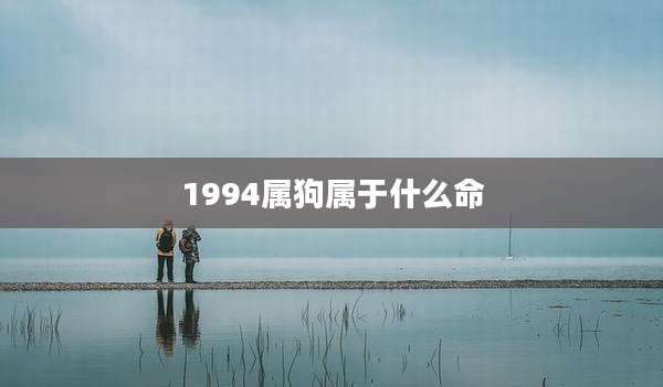 1994属狗属于什么命
