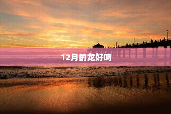 12月的龙好吗
