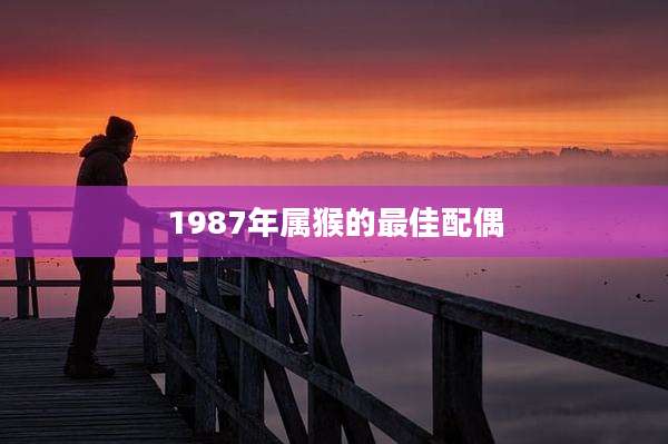 1987年属猴的最佳配偶