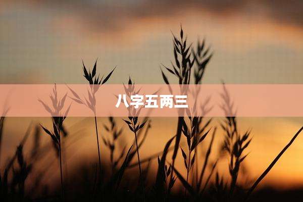 八字五两三