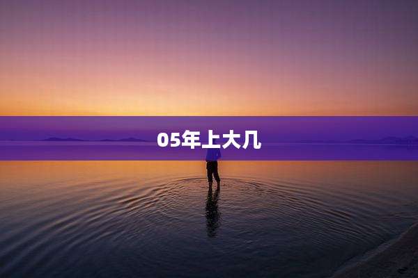 05年上大几