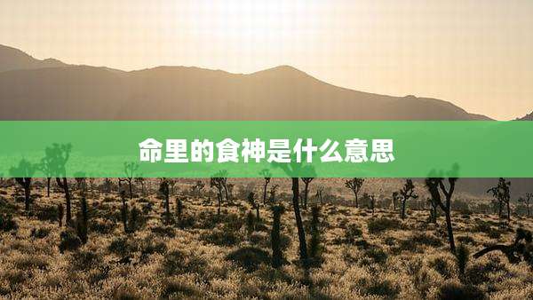命里的食神是什么意思