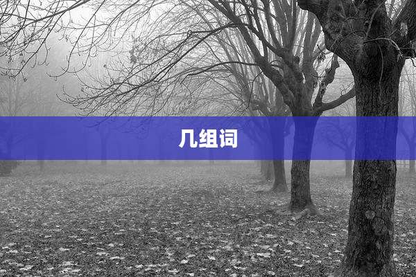 几组词