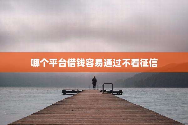 哪个平台借钱容易通过不看征信