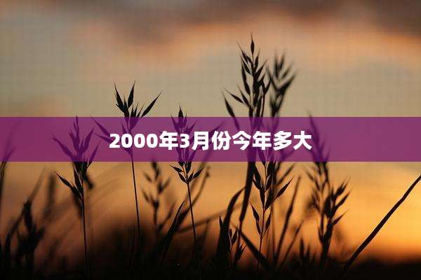 2000年3月份今年多大