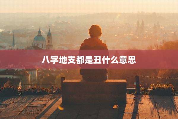 八字地支都是丑什么意思