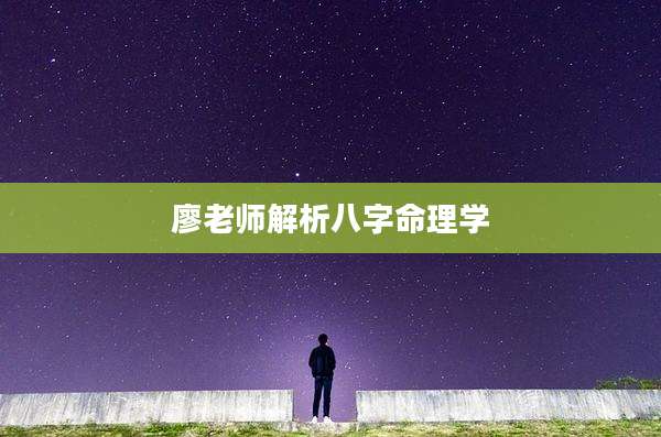 廖老师解析八字命理学