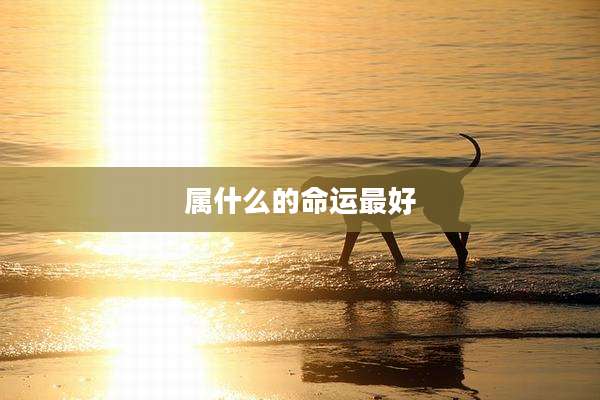 属什么的命运最好