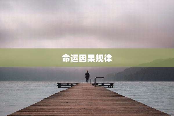 命运因果规律