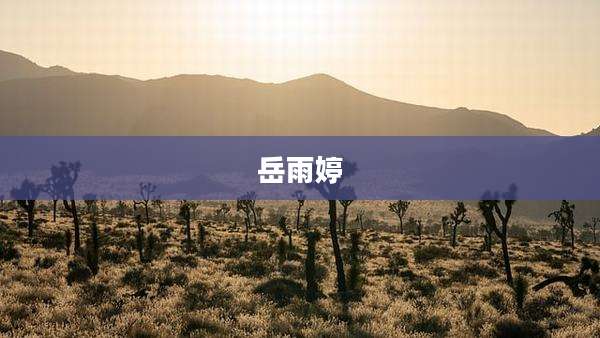 岳雨婷