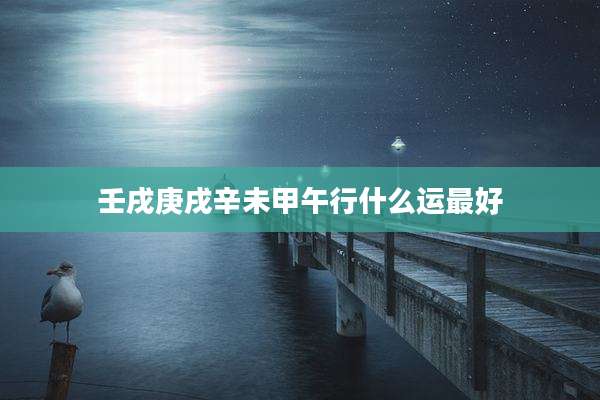 壬戌庚戌辛未甲午行什么运最好