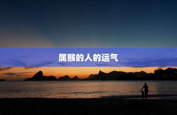 属猴的人的运气