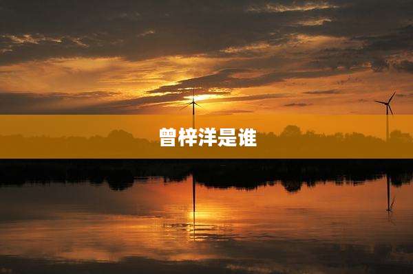 曾梓洋是谁