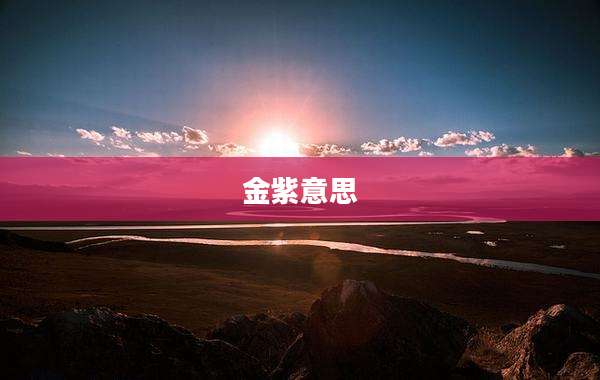金紫意思