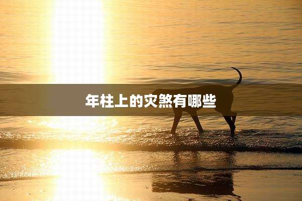 年柱上的灾煞有哪些
