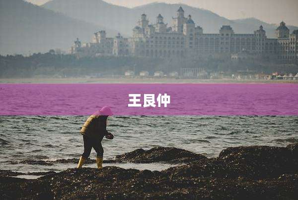 王艮仲