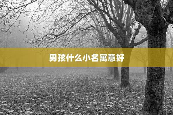 男孩什么小名寓意好