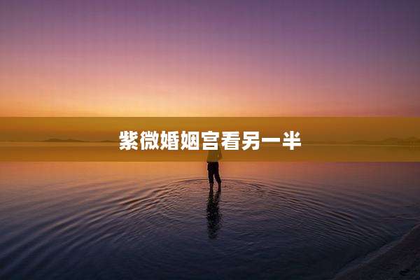 紫微婚姻宫看另一半